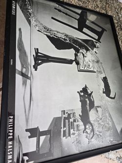 Retro 1988
Dali Atomicus 31 x 25 Framed Art