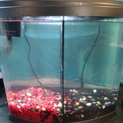 Top fin 5 Split Bowfront 5 Gallon Tank for Sale in Tampa FL OfferUp
