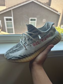 Yeezy zebras