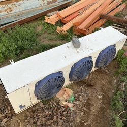 Walk-In Cooler 