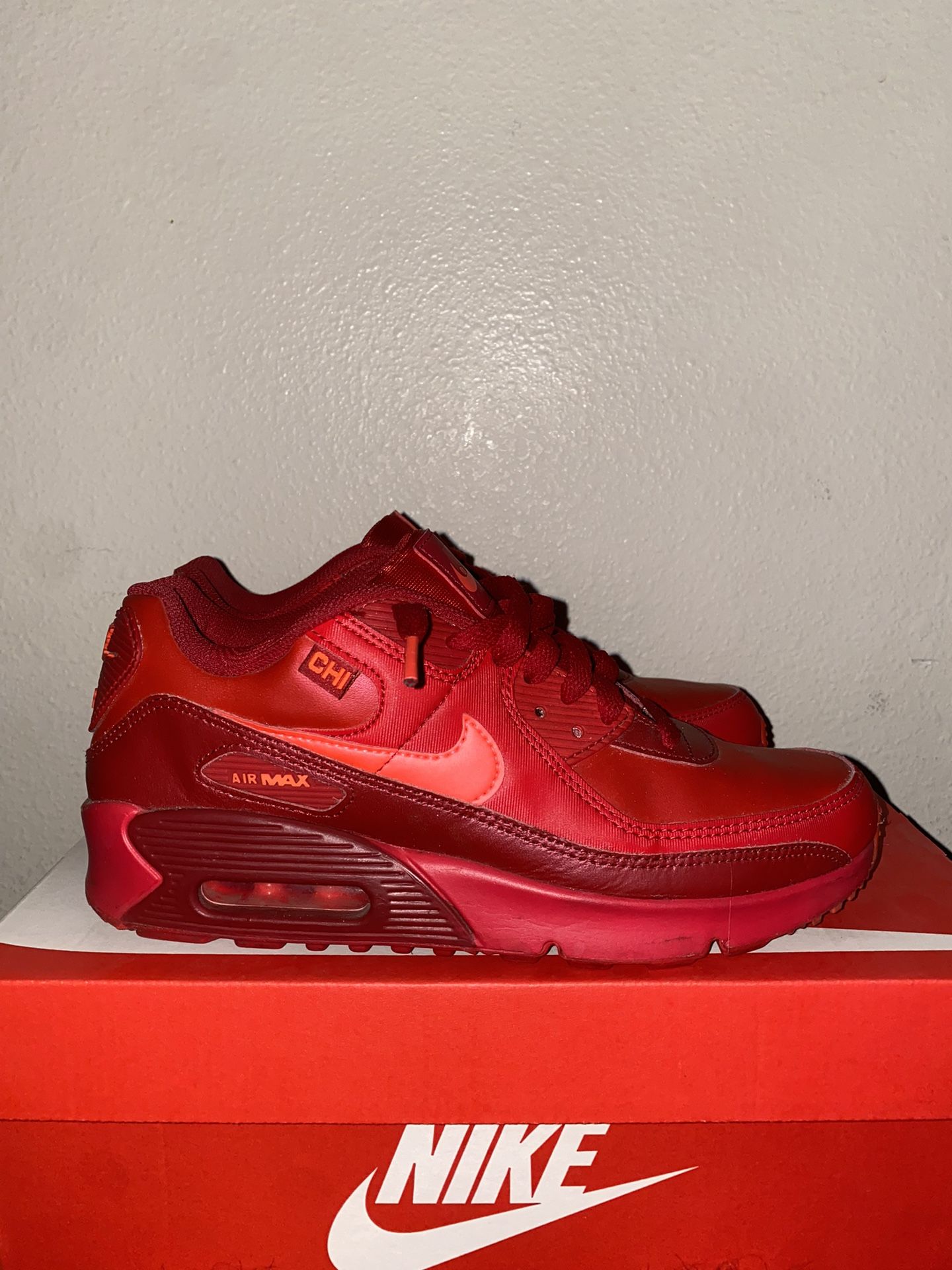 Nike Air Max 90 “City Special Chicago”