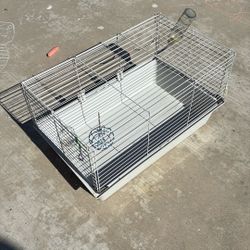Guinea Pig Cage 