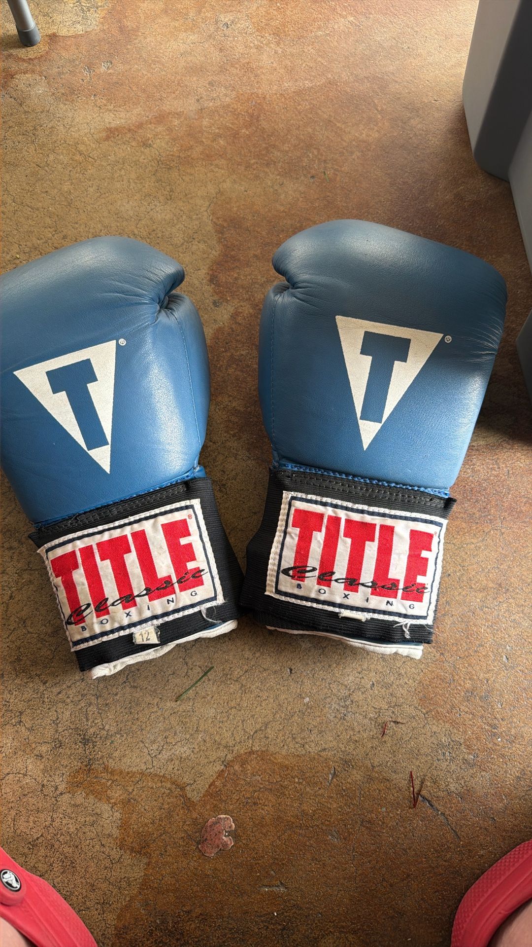 12 TITLE CLASSIC BOXING GLOVES