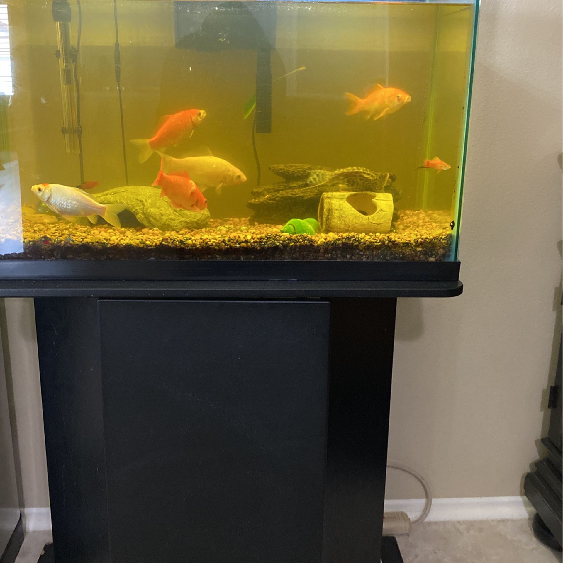 30 Gallon Fish Tank And  Stand And Supples