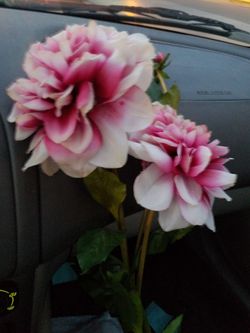 Large Silk Flowers. Great Decorations