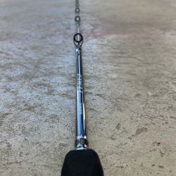 Shimano Terez Fishing Rod. 
