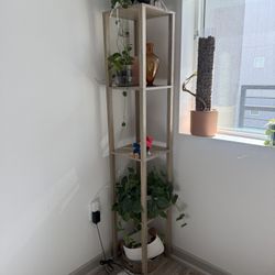 Lighted Standing Shelves