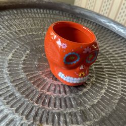 Small Skull Flower Plant Succulent Pot