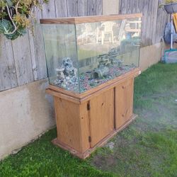 Fish Tank