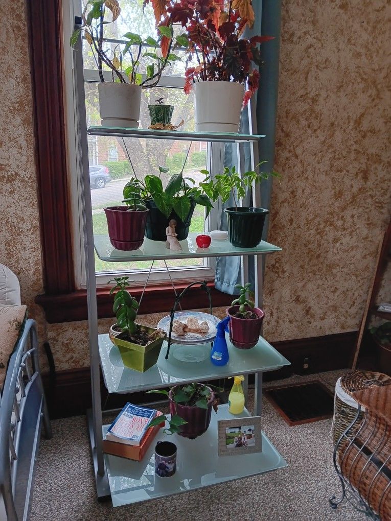 Glass Shelves