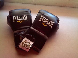 Everlast Boxing Gloves