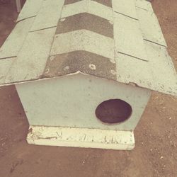 Dog House.