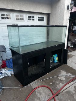 200 Gallon Aquarium + Stand - Must Go (Moving)