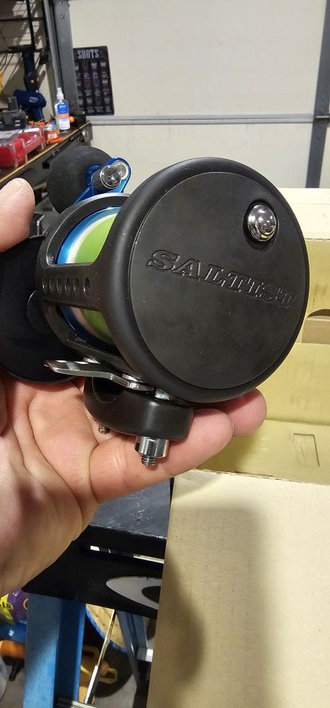 Daiwa Saltist