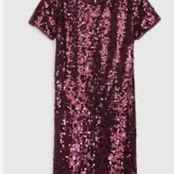Sequin Dress For Girl 10 Years From Zara