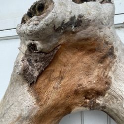 Driftwood Large A shape 