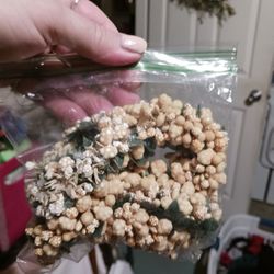 6 New Shells Napkins Rings 5 Firm Look My Post Alot Items