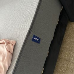 Casper Mattress