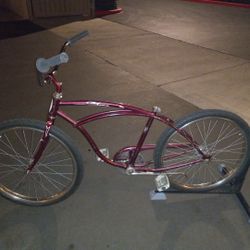 Project Schwinn Cruiser Bike