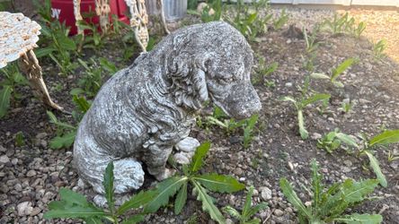Dog and Bunny lawn art