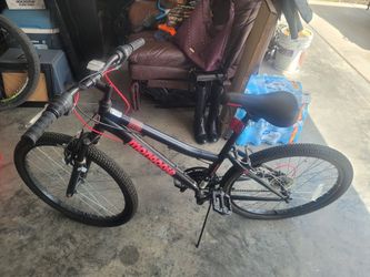 21 speed mountain bike