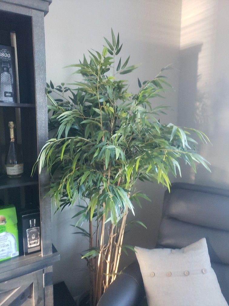 Bamboo Tree Fake- LOOKS GREAT 