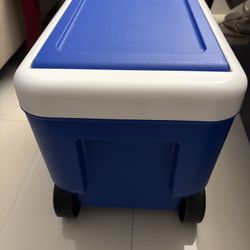 IGLOO COOLER 