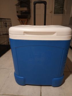 Igloo cooler (60 Qt)