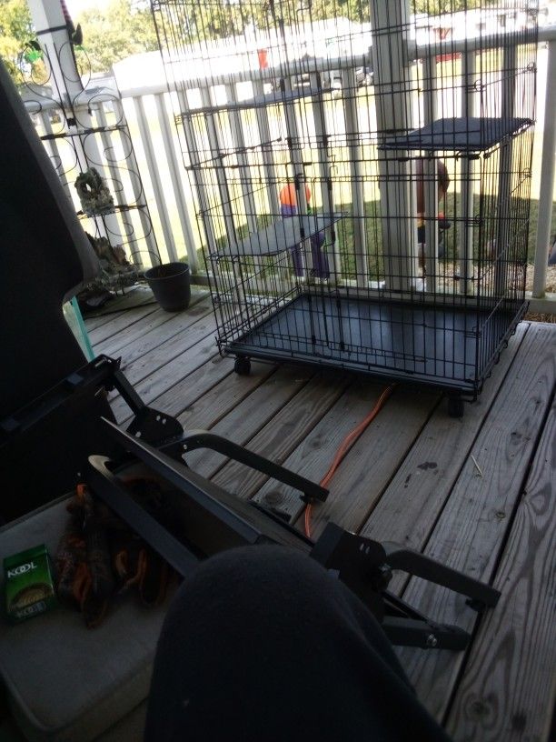 Cage I Had A Ferret In It