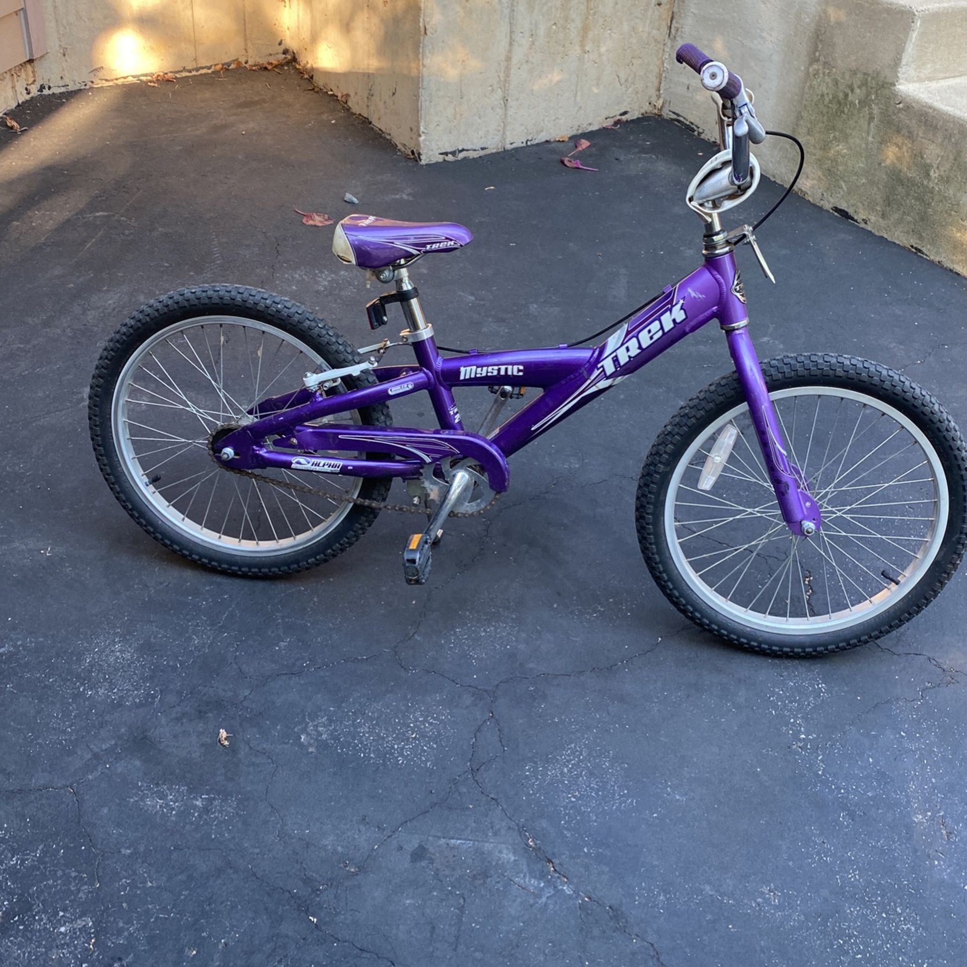 Girls Trek Bike