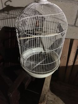 Bird cage
