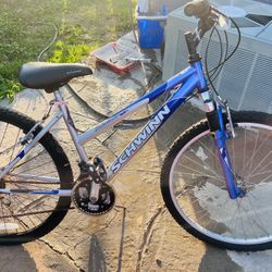 Schwinn Sidewinder Bike