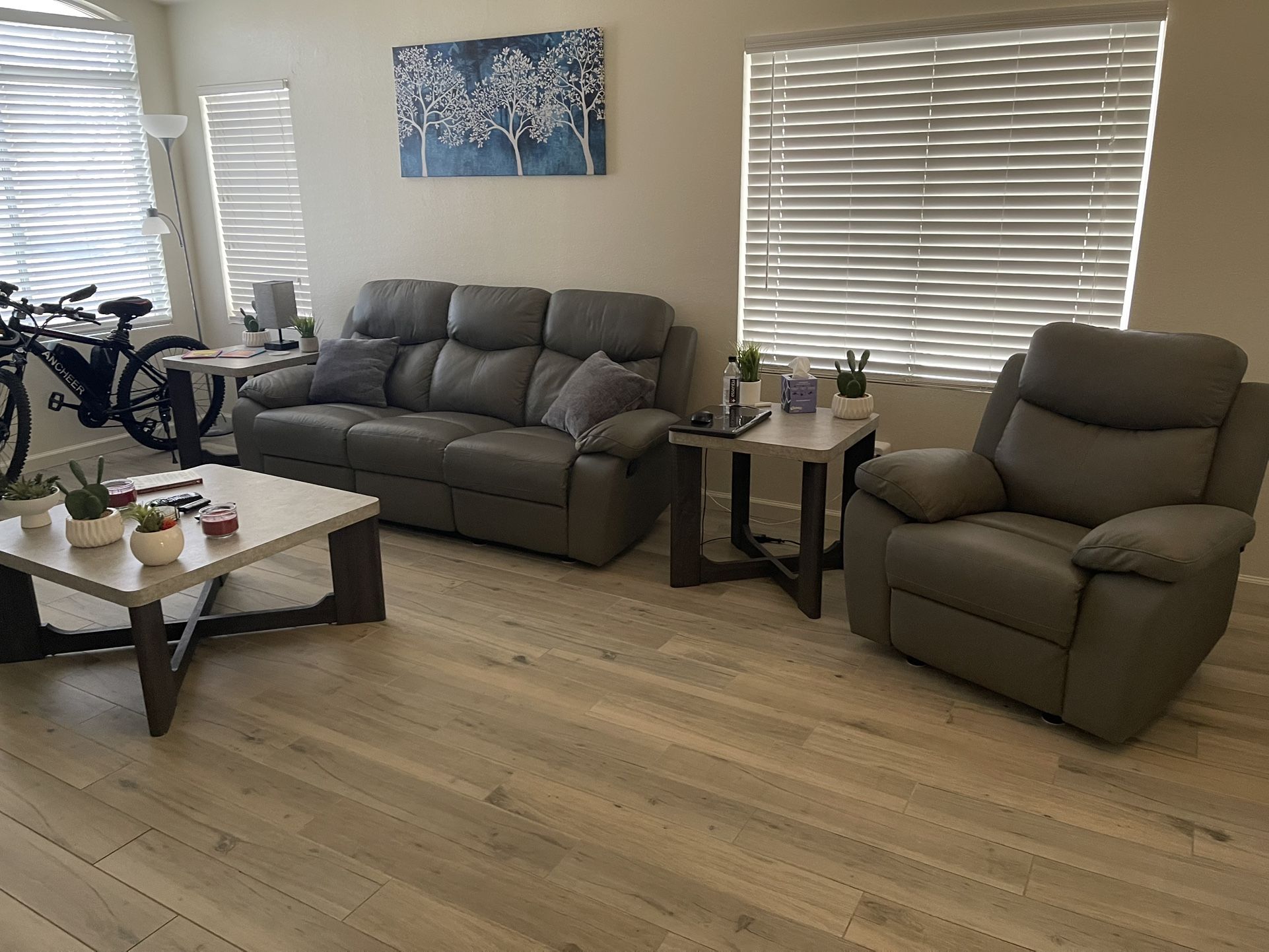 Leather Recliner Sofa & Chair
