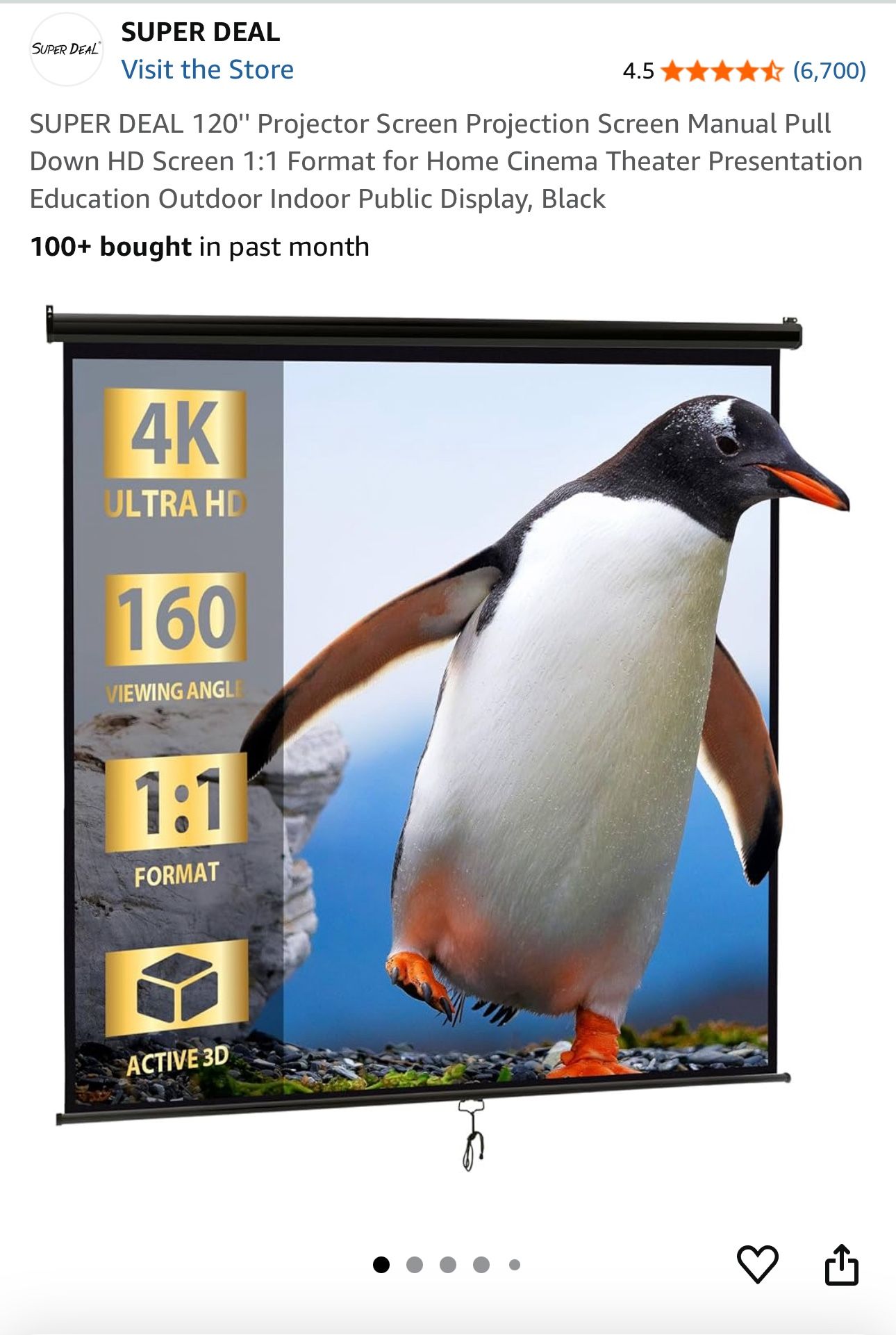 120 Inch Projector Screen