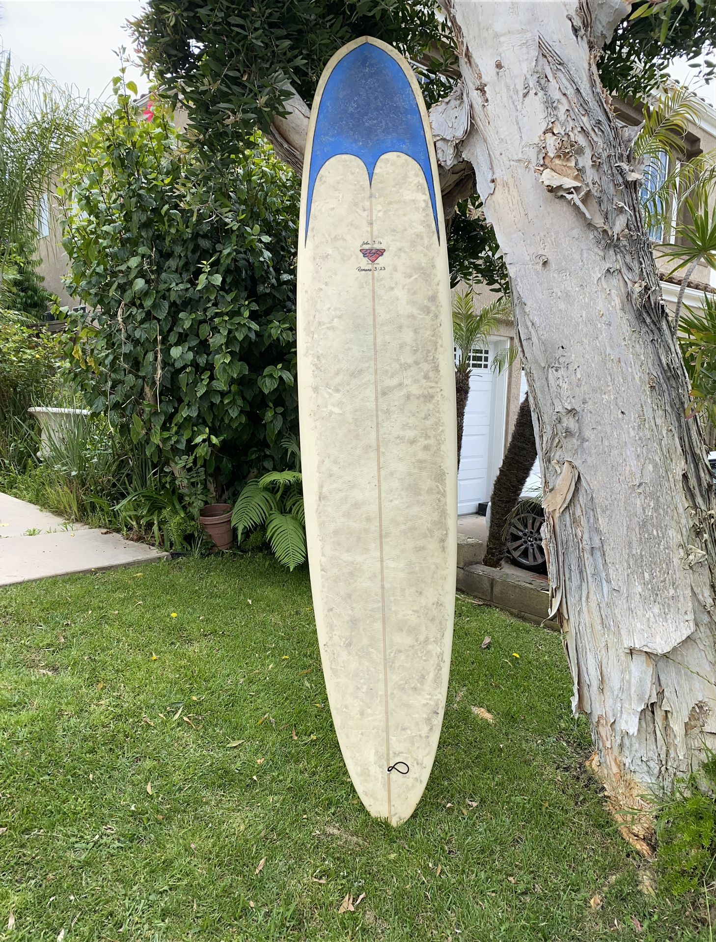 9'0 ESO Longboard Surfboard