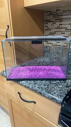 Small Glass Fish Tank with Lid and Gravel