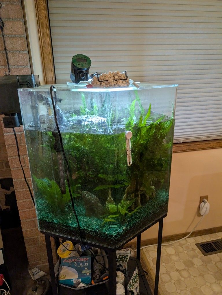 45 Gallon Fish Tank With Everything, But Fish
