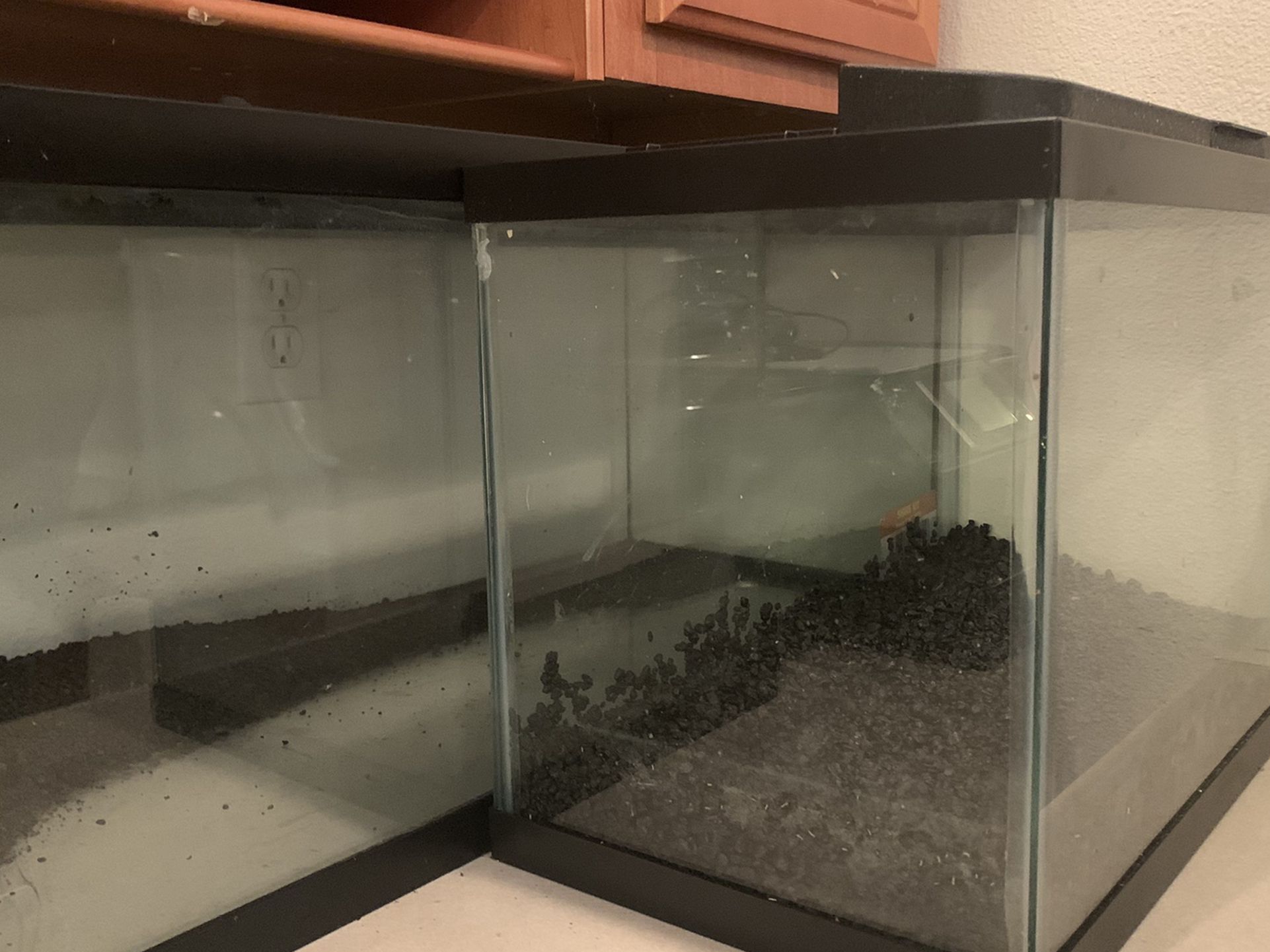 Two Tanks! 20 Gal For Reptile & 10 Gal For Fish