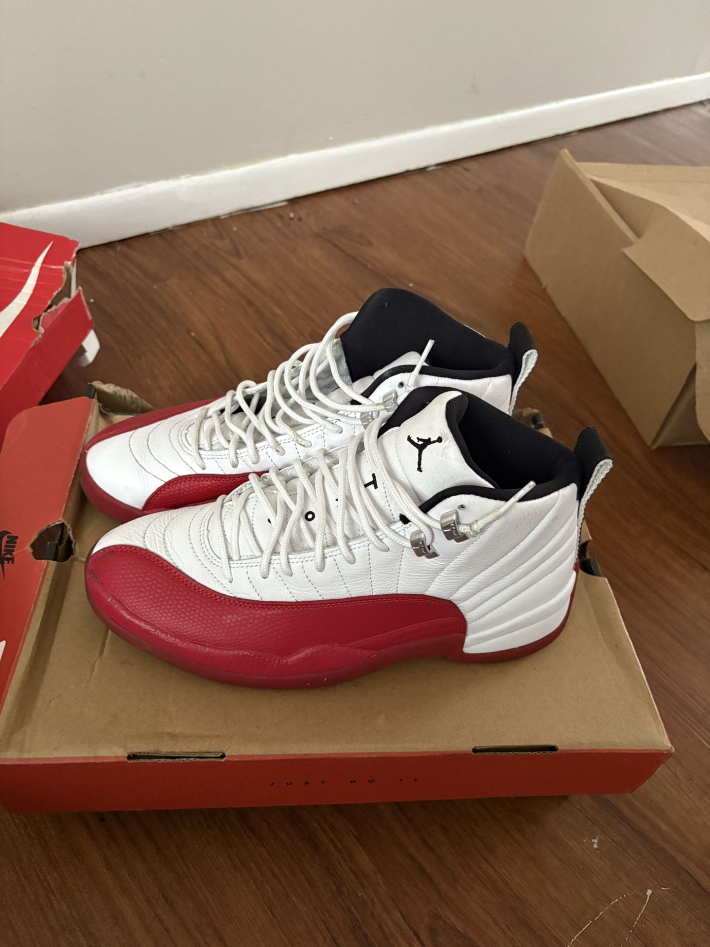 jordan 12