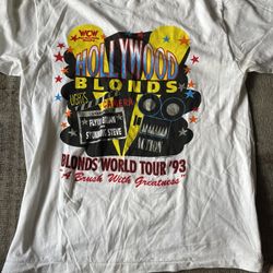 Vintage Hollywood Blonds WCW t-shirt Stunning Steve & Flyin Brian