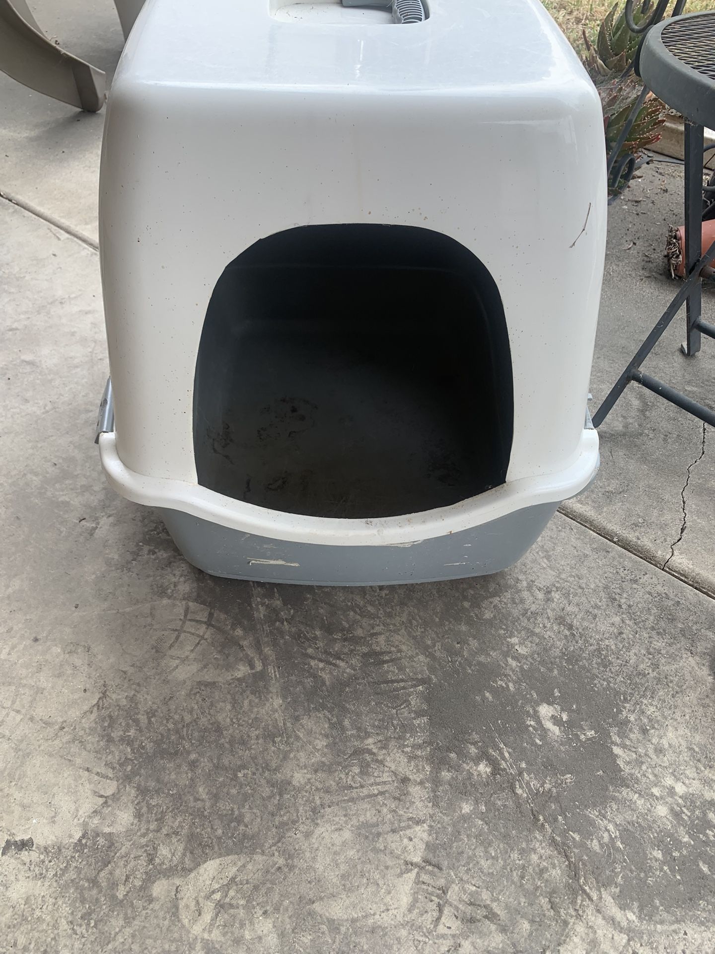 FREE Large Cat Covered Catbox (92867) Sunday