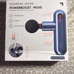 Portable Massager 