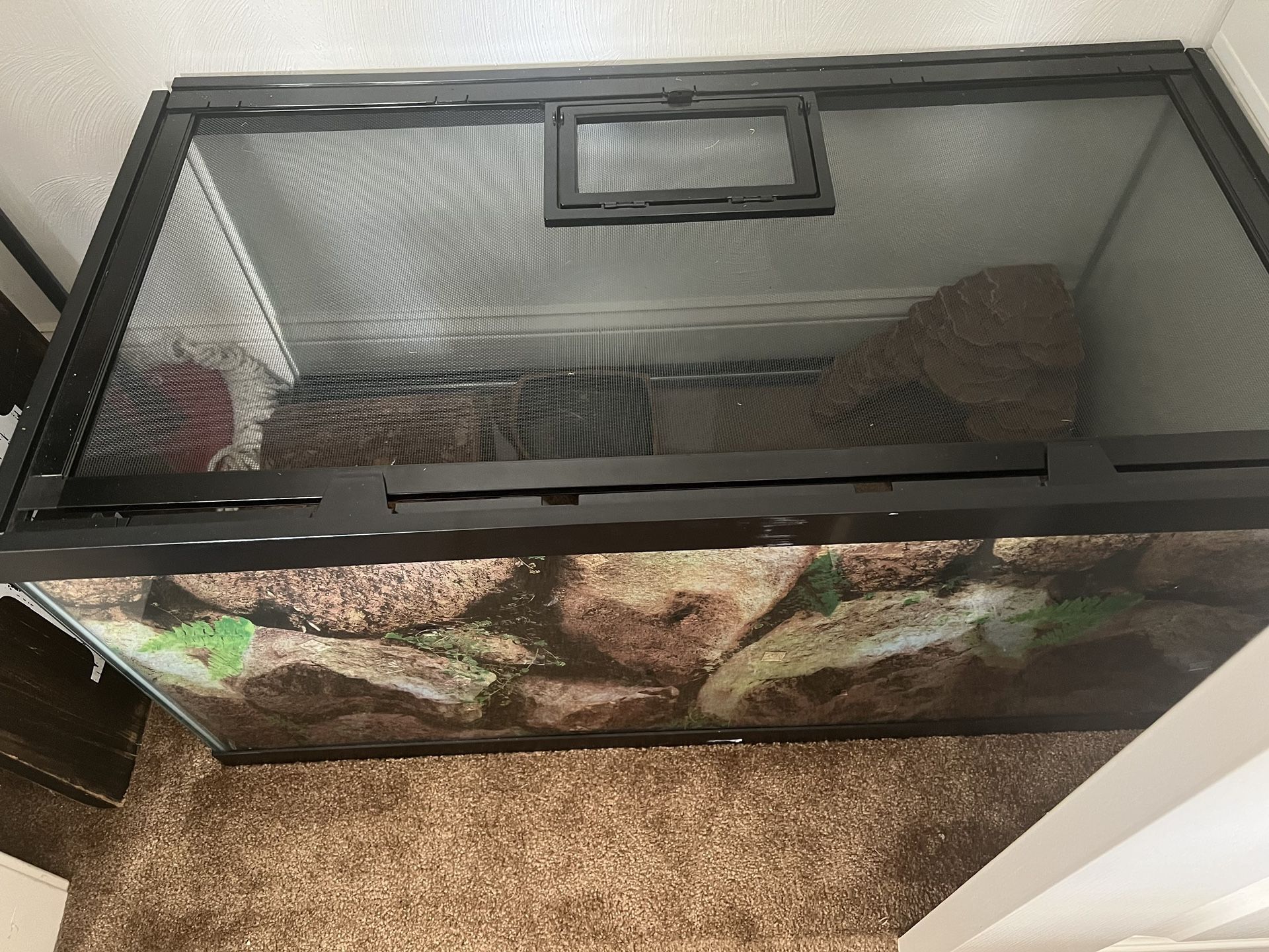 Reptile Tank