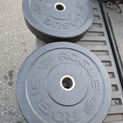 Weight Rogue Bumper Plates 