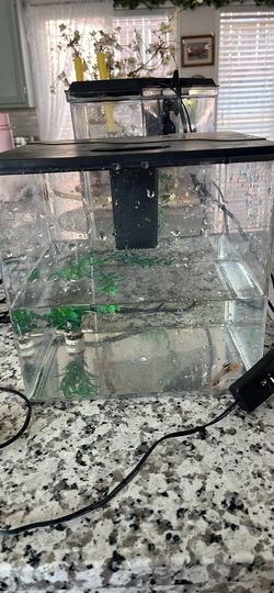 Small beta fish tank led and filtration