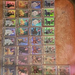 Beanie Babies Cards 1998