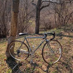 Schwinn Road Bike Large Many Upgrades Chromoly Frame 