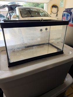 Hermit Crab Tank 10 Gallon