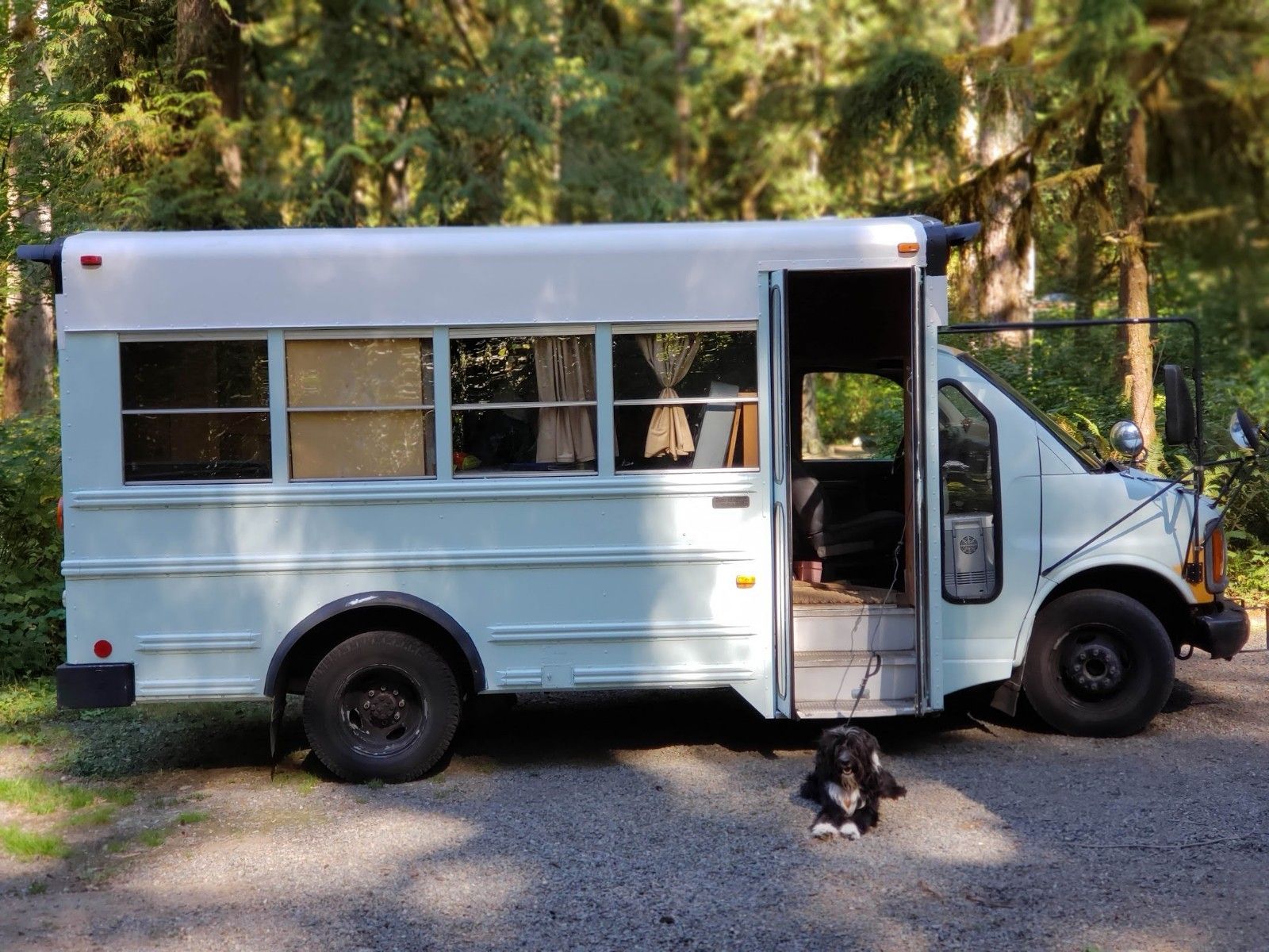 Skoolie! Partially converted short school bus