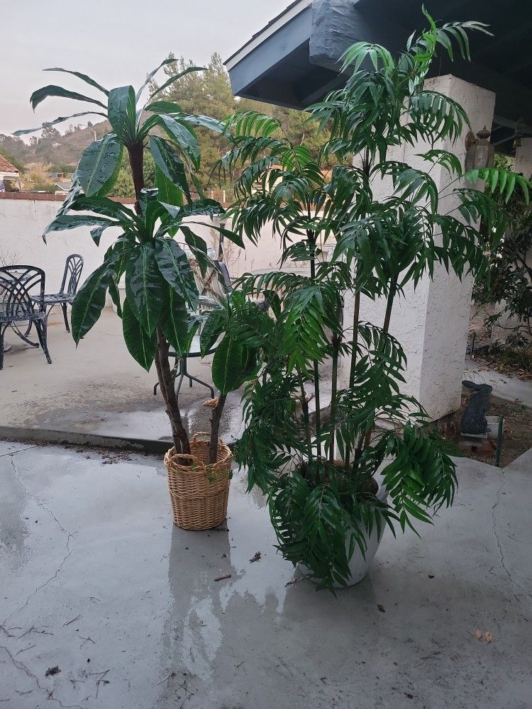 Bamboo Fake Plastic Faux 7 Foot